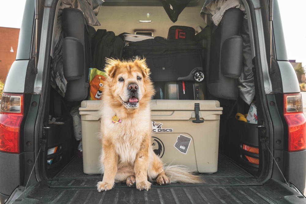 Safety Checklist: Keep These 5 Things in Your Trunk